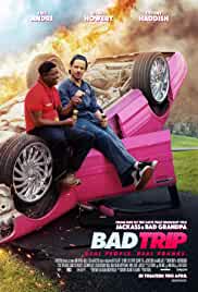 Bad Trip 2020 Hindi Dubbed 480p HDHub4u