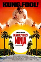 Beverly Hills Ninja 1997 Hindi Dubbed 480p 720p HDHub4u