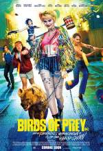 Birds of Prey 2020 Dual Audio Hindi 480p BluRay 300MB HDHub4u