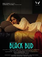 Black Bud 2021 Full Movie Download HDHub4u