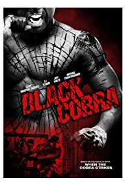 Black Cobra 2012 Dual Audio Hindi 480p 300MB HDHub4u