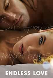 Endless Love 2014 Hindi Dubbed 480p HDHub4u