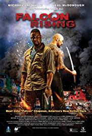 Falcon Rising 2014 Dual Audio Hindi 480p 300MB HDHub4u