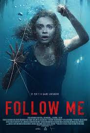 Follow Me 2020 Hindi English 480p 720p 1080p HDHub4u