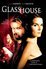 Glass House The Good Mother 2006 Dual Audio Hindi 480p HDHub4u