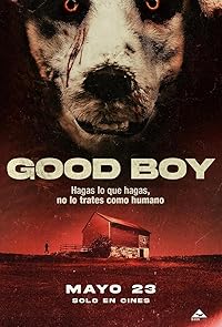Good Boy 2022 Hindi Dubbed Norwegian Movie Download 480p 720p 1080p HDHub4u