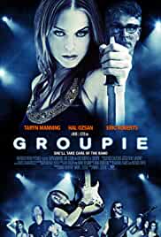 Groupie 2010 Hindi Dubbed 480p HDHub4u