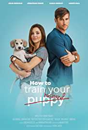 How To Train Your Husband 2017 Hindi Dubbed HDHub4u