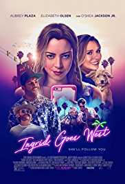 Ingrid Goes West 2017 Dual Audio Hindi 480p 300MB HDHub4u