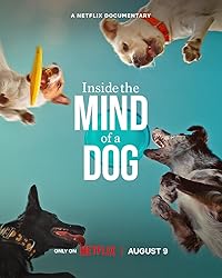 Inside the Mind of a Dog Hindi Dubbed English Movie Download 480p 720p 1080p HDHub4u