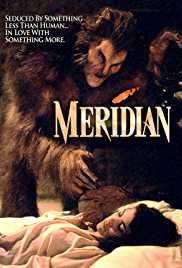 Meridian 1990 Dual Audio Hindi 480p 300MB HDHub4u