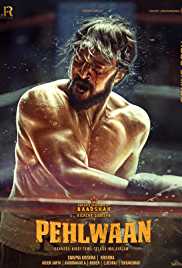 Paiwaan 2019 Hindi Full Movie Download HDHub4u