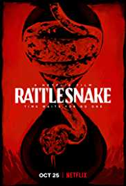 Rattlesnake 2019 Dual Audio Hindi 480p 300MB HDHub4u