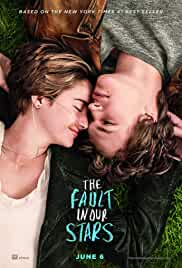 The Fault in Our Stars 2014 Hindi Subtitles 480p HDHub4u