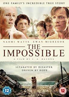 The Impossible 2012 Dual Audio Hindi 480p 300MB HDHub4u