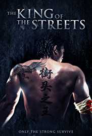 The King of the Streets 2012 Dual Audio Hindi 480p 300MB HDHub4u