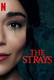 The Strays 2023 Hindi Dubbed 480p 720p 1080p HDHub4u