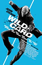 Wild Card 2015 Hindi Dubbed 480p 720p HDHub4u