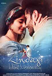 Zindagi Kitni Haseen Hay 2016 Full Movie Download HDHub4u